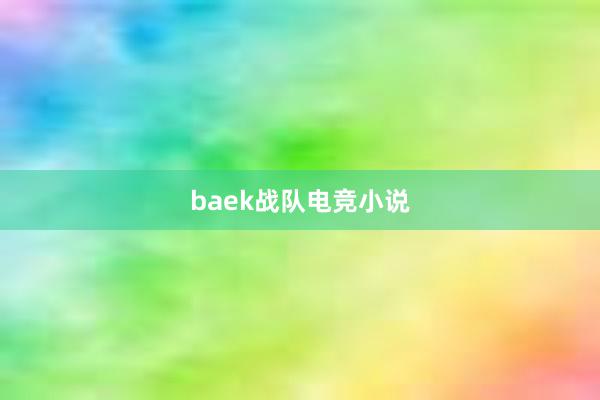 baek战队电竞小说