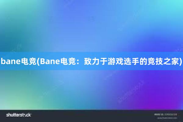 bane电竞(Bane电竞：致力于游戏选手的竞技之家)