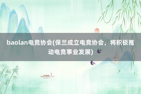 baolan电竞协会(保兰成立电竞协会，将积极推动电竞事业发展)