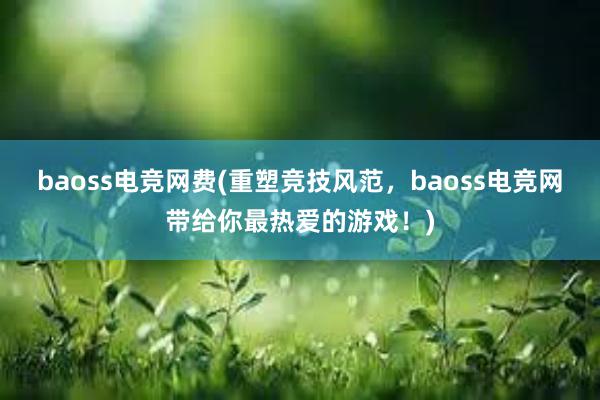 baoss电竞网费(重塑竞技风范，baoss电竞网带给你最热爱的游戏！)