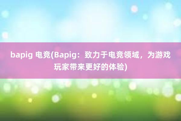 bapig 电竞(Bapig：致力于电竞领域，为游戏玩家带来更好的体验)