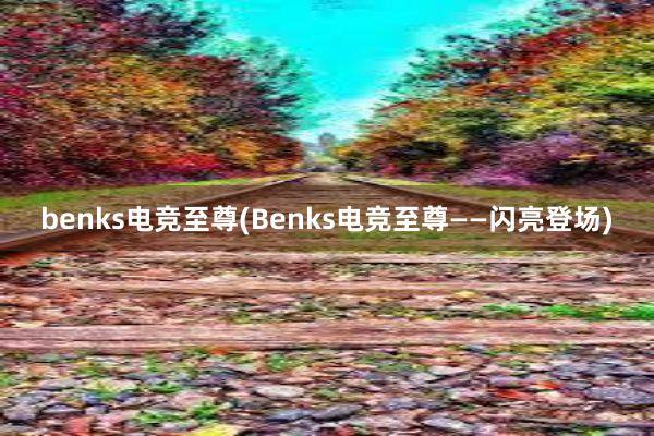 benks电竞至尊(Benks电竞至尊——闪亮登场)