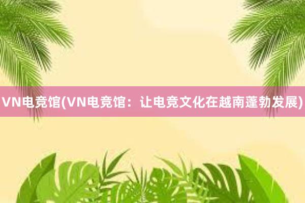 VN电竞馆(VN电竞馆：让电竞文化在越南蓬勃发展)