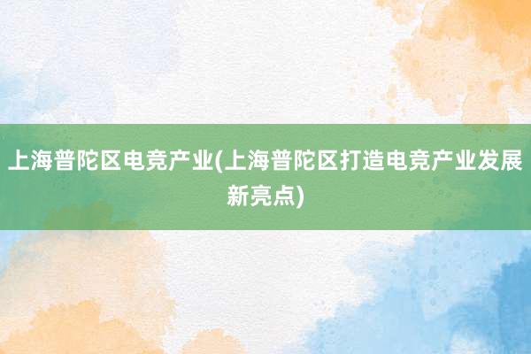 上海普陀区电竞产业(上海普陀区打造电竞产业发展新亮点)