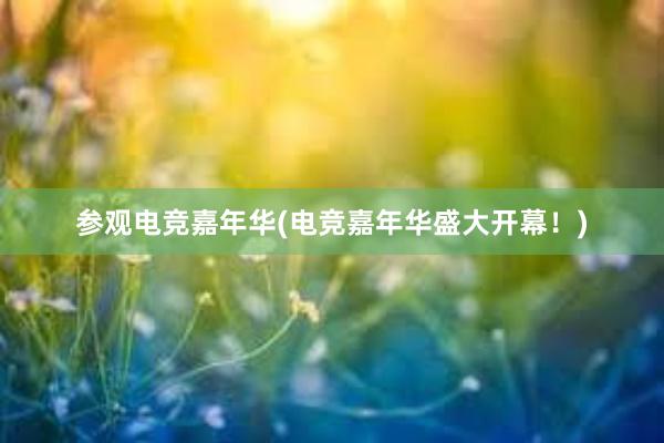 参观电竞嘉年华(电竞嘉年华盛大开幕！)