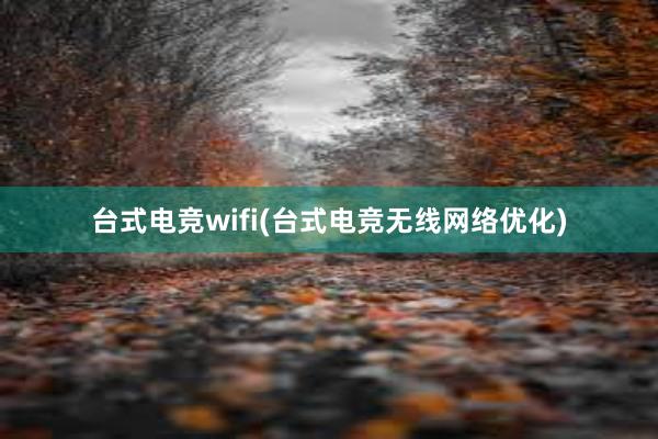 台式电竞wifi(台式电竞无线网络优化)