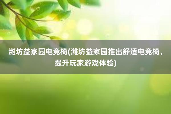 潍坊益家园电竞椅(潍坊益家园推出舒适电竞椅，提升玩家游戏体验)