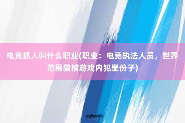 电竞抓人叫什么职业(职业：电竞执法人员，世界范围猎捕游戏内犯罪份子)