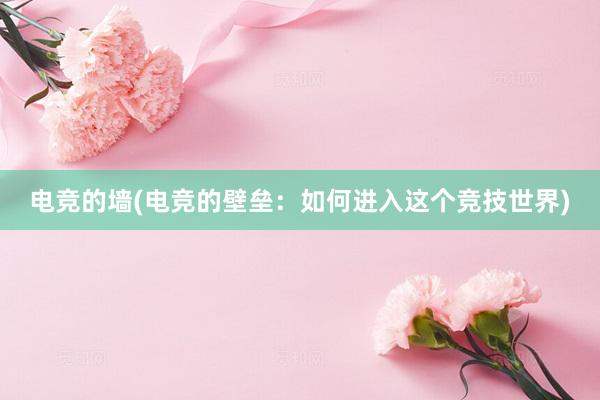 电竞的墙(电竞的壁垒：如何进入这个竞技世界)