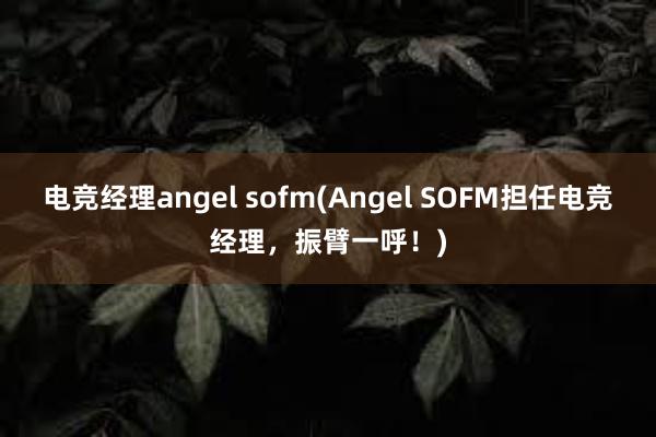 电竞经理angel sofm(Angel SOFM担任电竞经理，振臂一呼！)