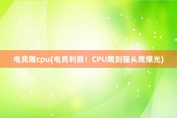 电竞雕cpu(电竞利器！CPU雕刻猫头鹰爆光)