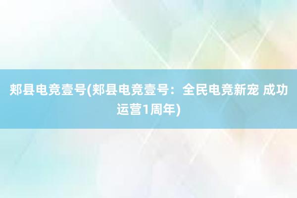 郏县电竞壹号(郏县电竞壹号：全民电竞新宠 成功运营1周年)