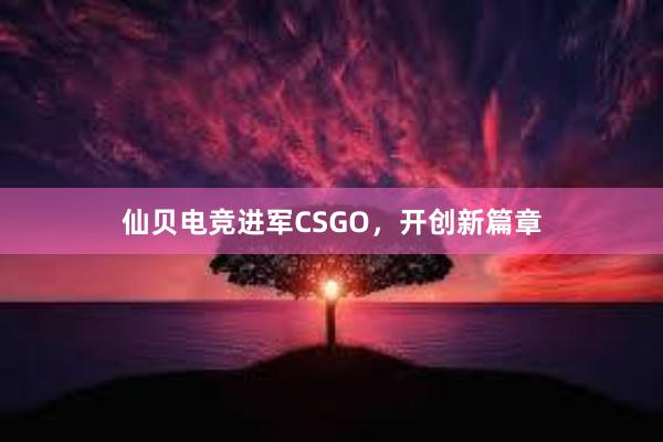 仙贝电竞进军CSGO，开创新篇章