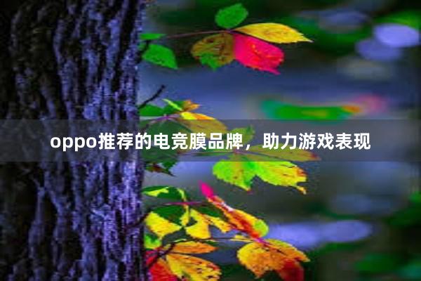 oppo推荐的电竞膜品牌，助力游戏表现