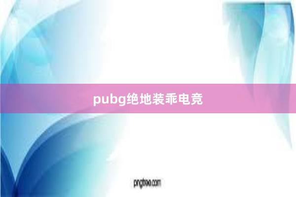 pubg绝地装乖电竞