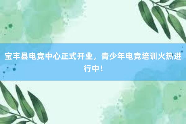 宝丰县电竞中心正式开业，青少年电竞培训火热进行中！