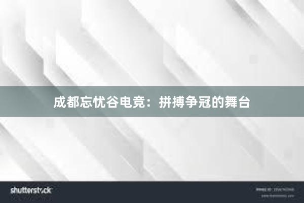 成都忘忧谷电竞：拼搏争冠的舞台