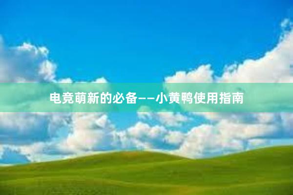 电竞萌新的必备——小黄鸭使用指南