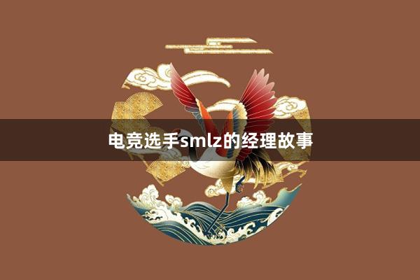 电竞选手smlz的经理故事